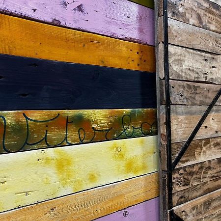 비테르보 La Casa A Colori 빌라 외부 사진